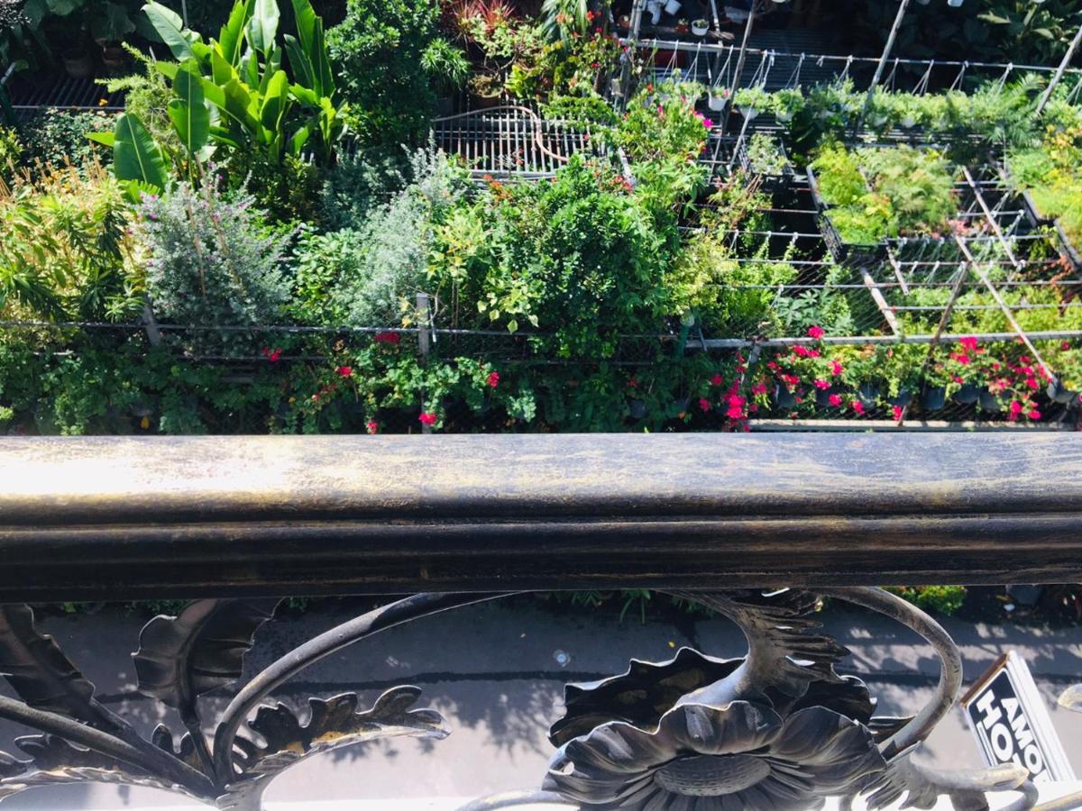 Amor Hotel Ho Chi Minh City Bagian luar foto